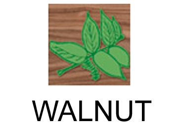 lamoverlaywalnut