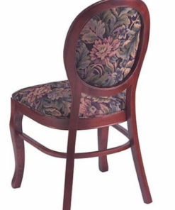 Ombre Dining Chair back